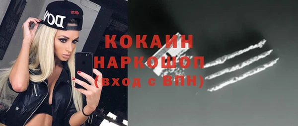 винт Верея