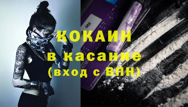винт Верея