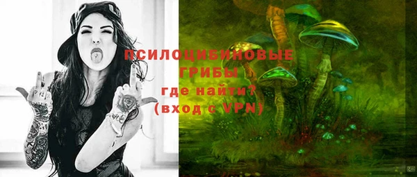 винт Верея
