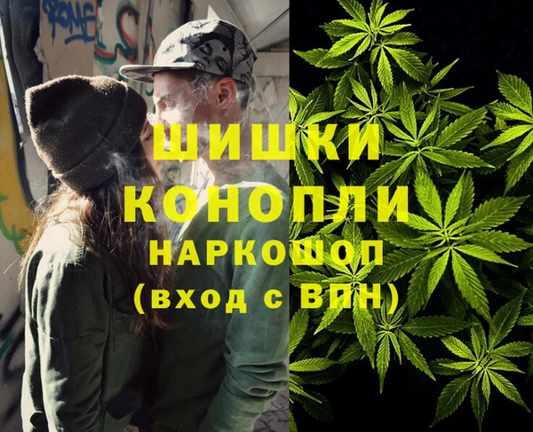 винт Верея